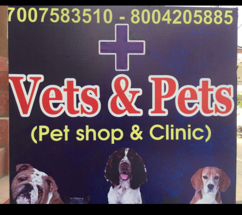 Pets Clinics in Lucknow, Animal Doctors | Sulekha Lucknow