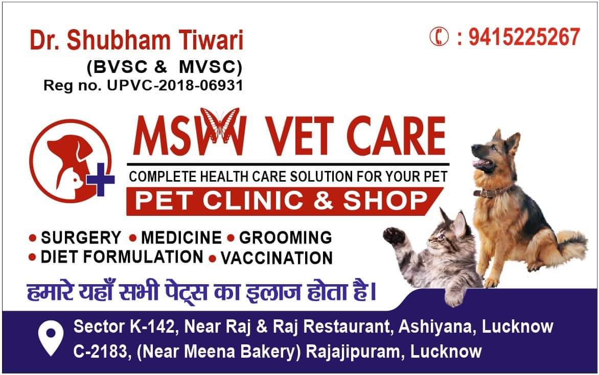 Pet Adoption in Lucknow, Rescue Services | Sulekha Lucknow