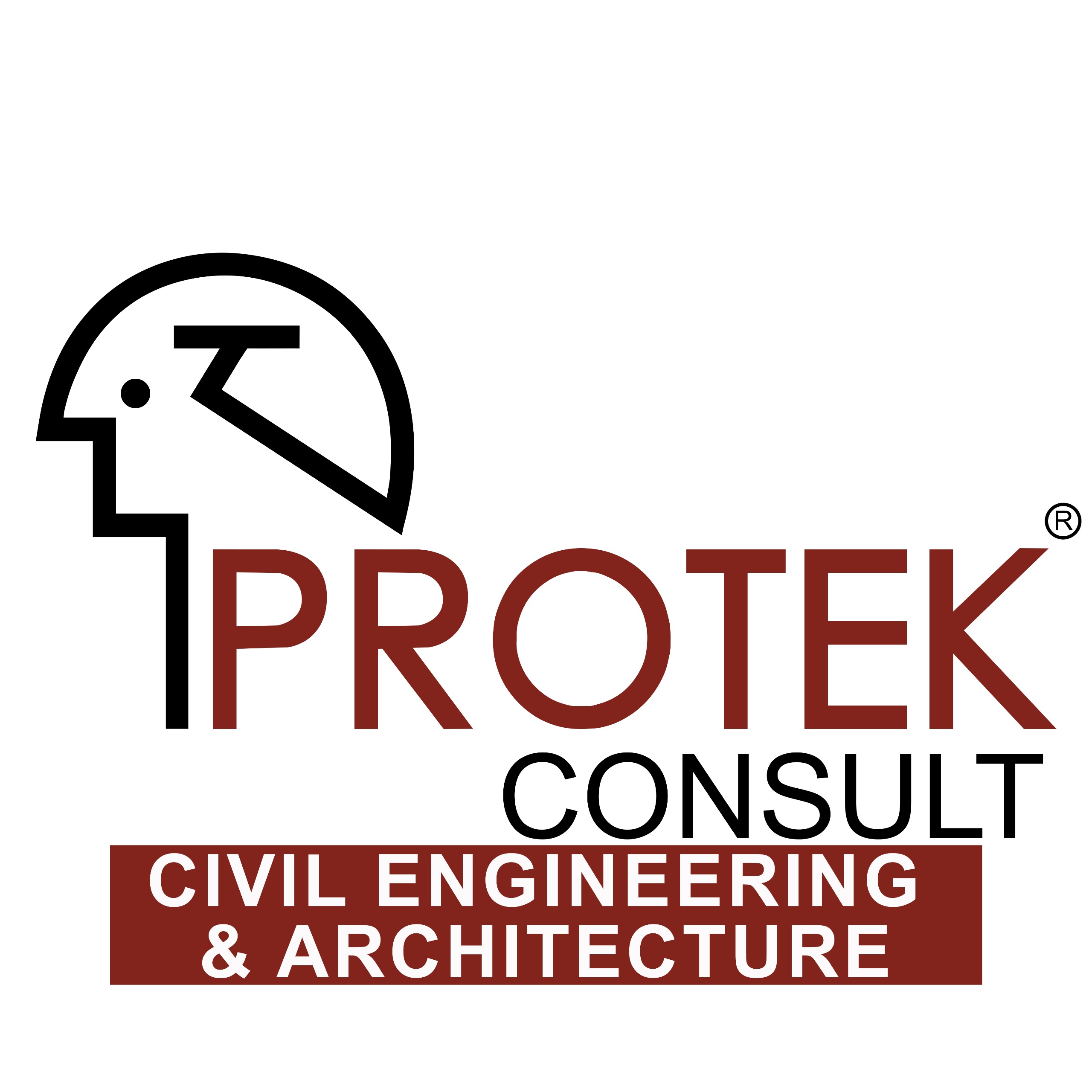 Logo of Protek Consult