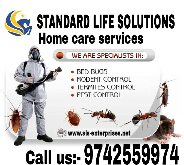 Logo of SLS ENTERPRISES