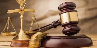 Logo of Varneya Law Firm