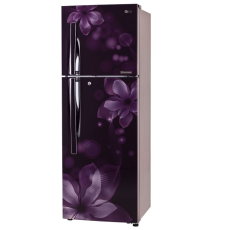 LG GL Q282RPOY 255L Double Door Refrigerator