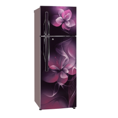 LG GL T302RPDN 284L Double Door Refrigerator